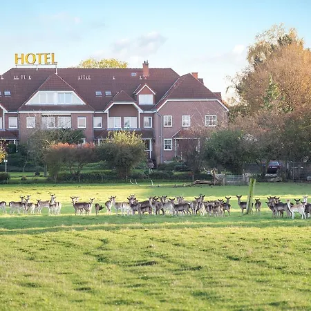 Hotel Hennies 3*