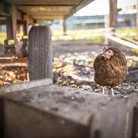 Ξενοδοχείο Hennies 3*